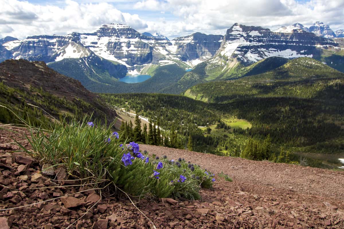 Waterton Scenery