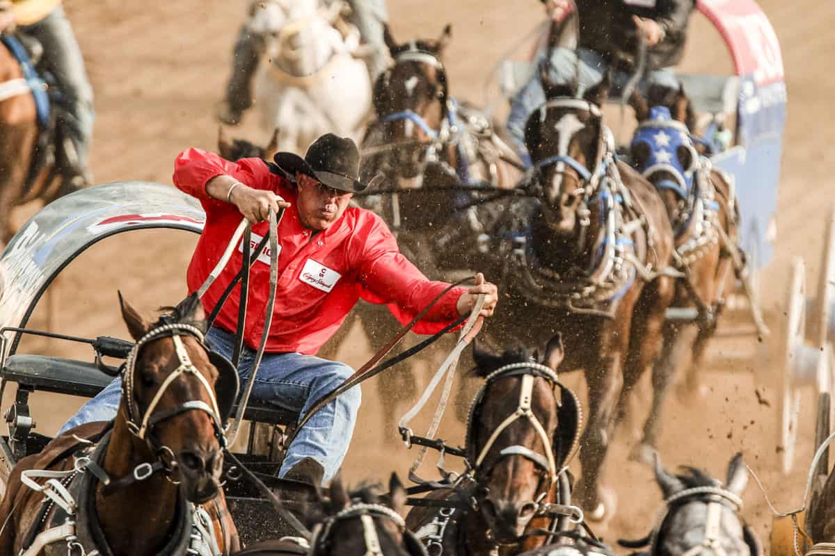 Calgary Stampede Rangeland Derby