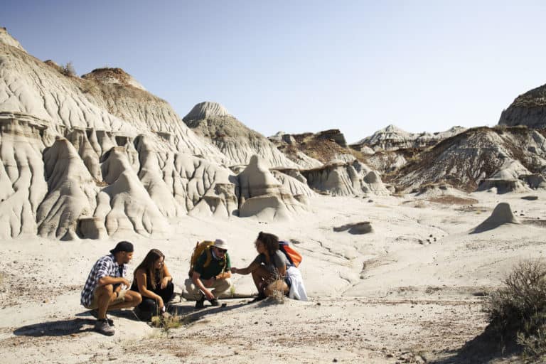 dinosaur provincial park tours