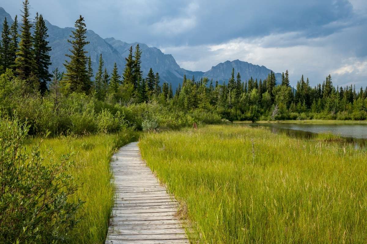 Hiking in Bow Valley Provincial Park