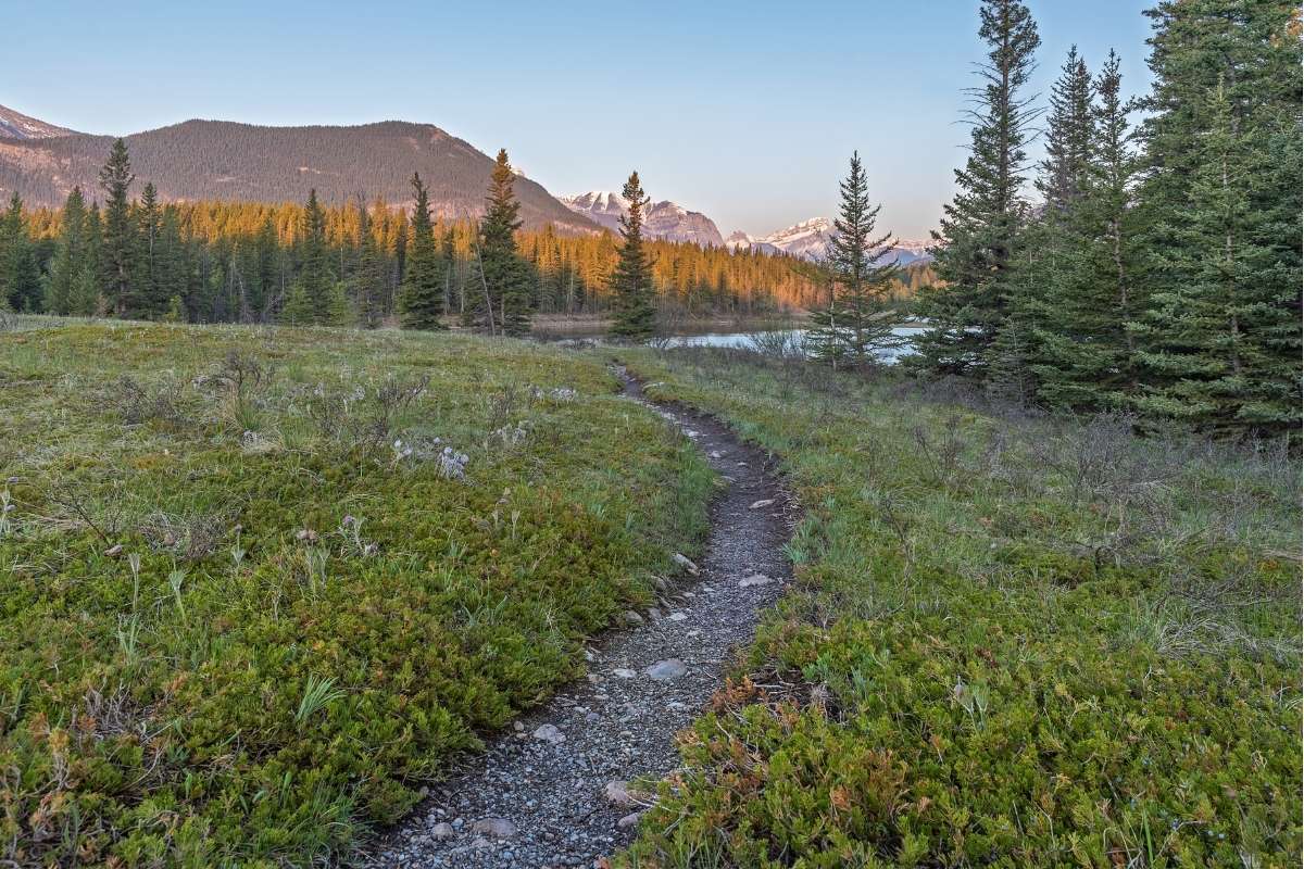 Hiking Trail in Bow Valley Provincial Park