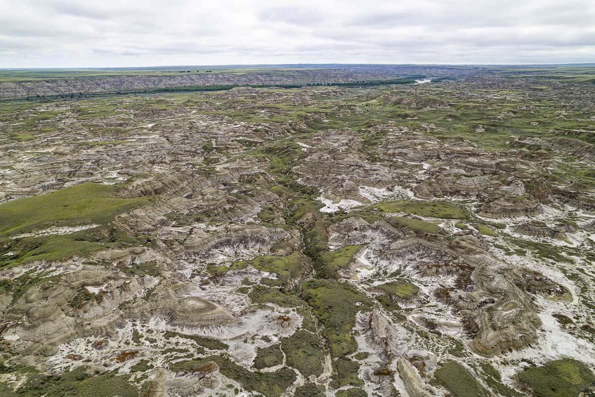 Landscape of Dinosaur Provincial Park