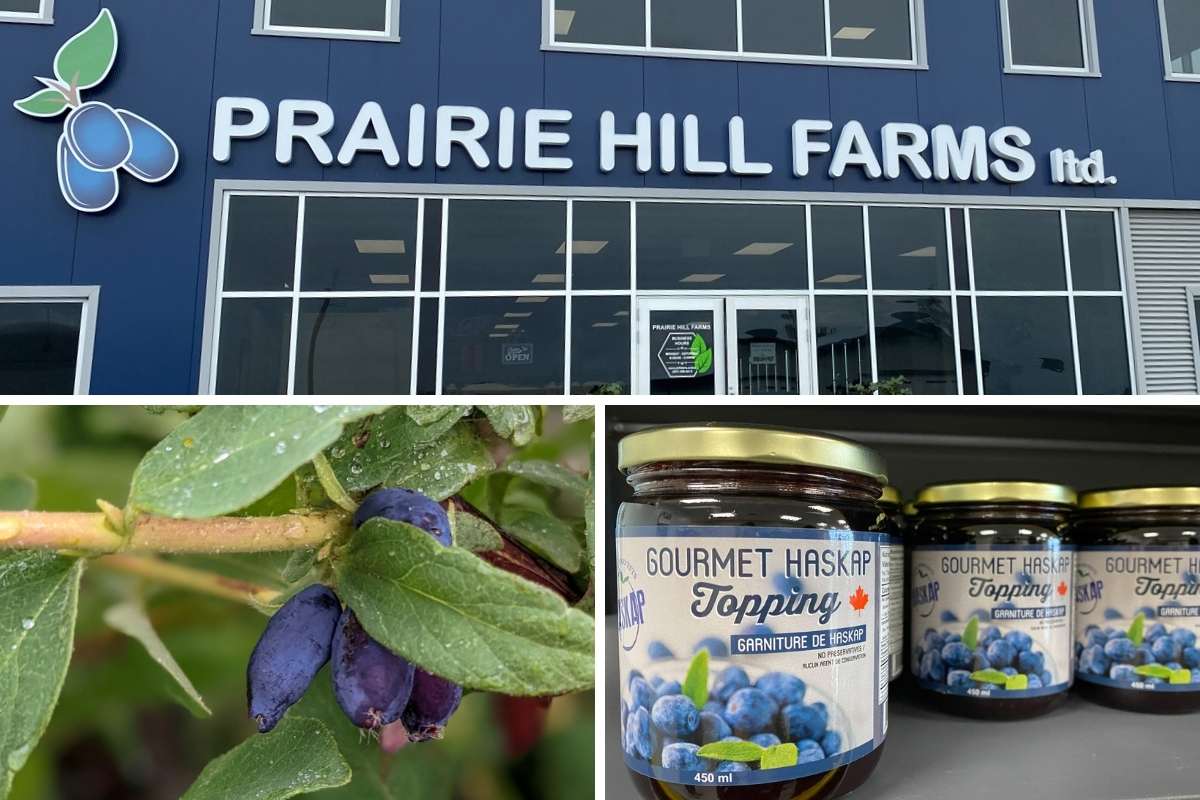 Prairie Hill Farms - a must stop on a southern Alberta food tour