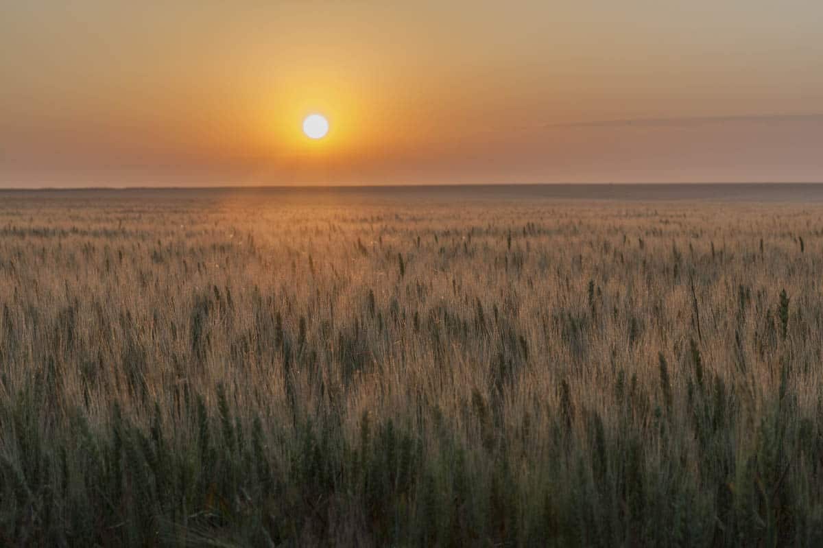 Prairie sunrise