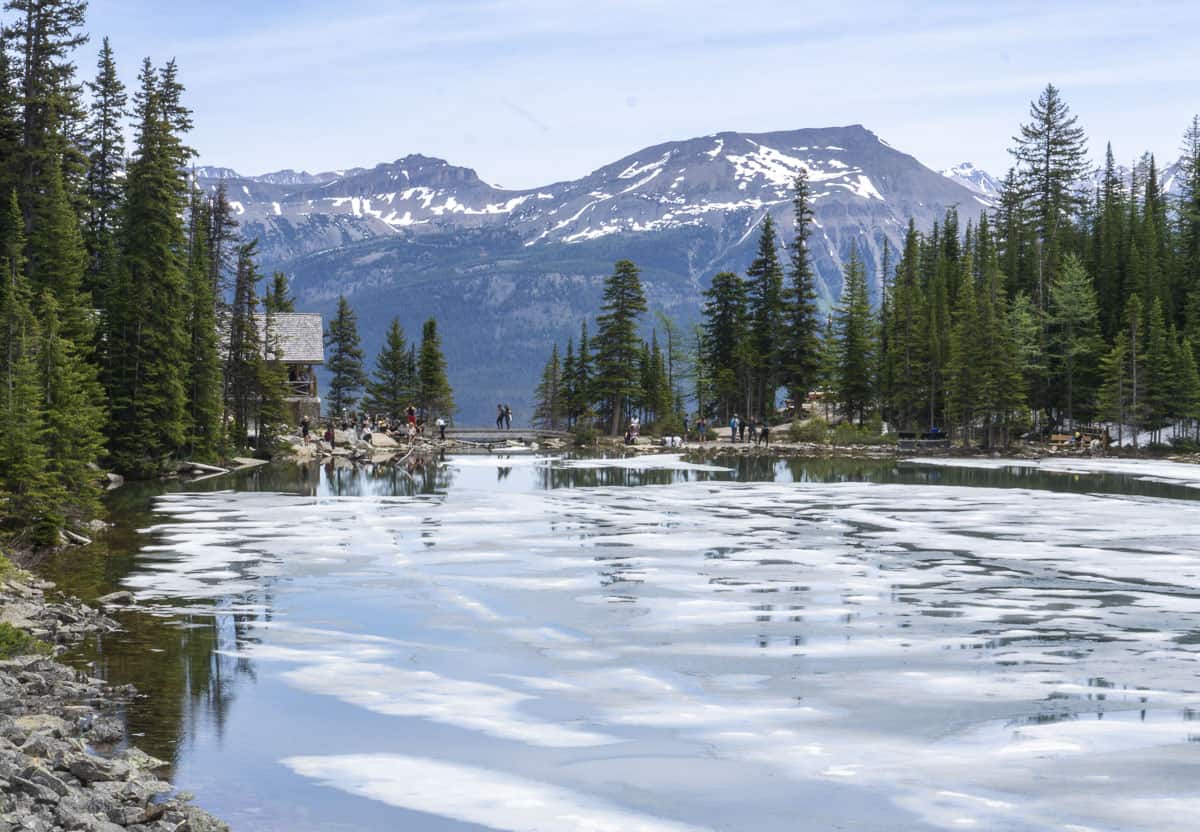 Lake Agnes Tea House