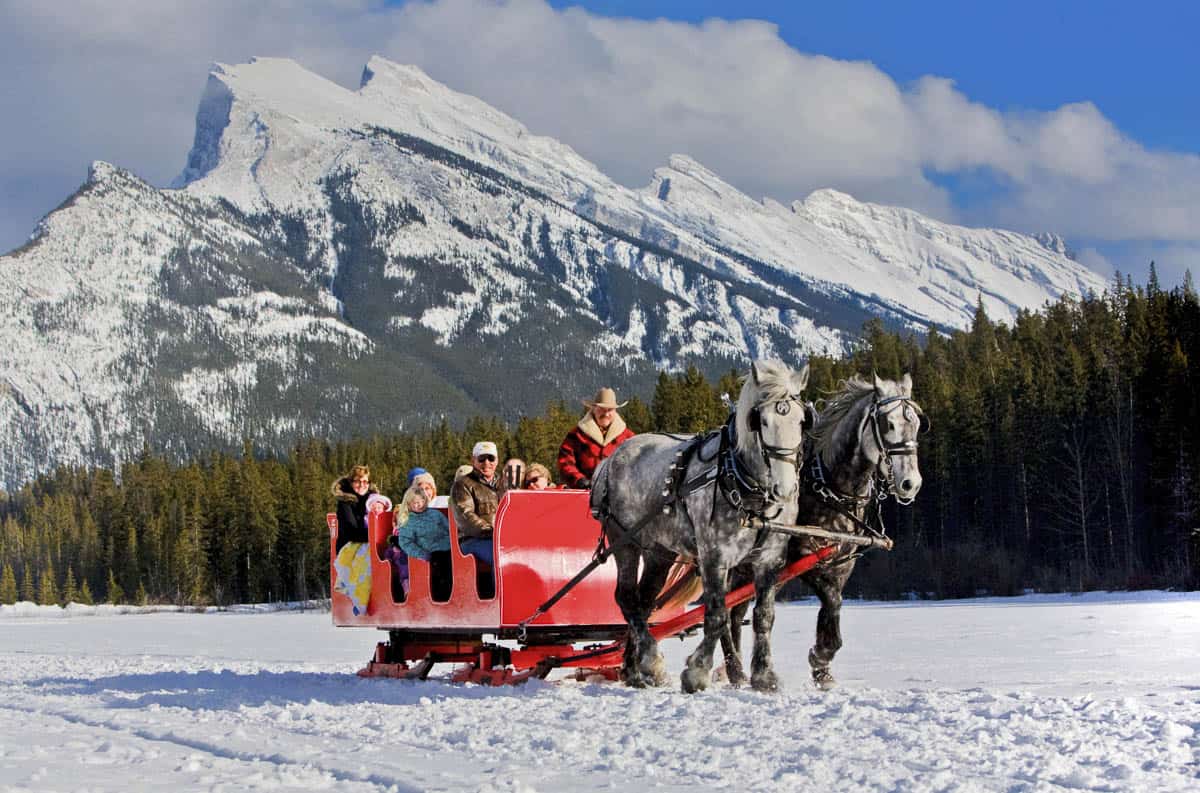 A Sleigh Ride in Banff on a sunny day
