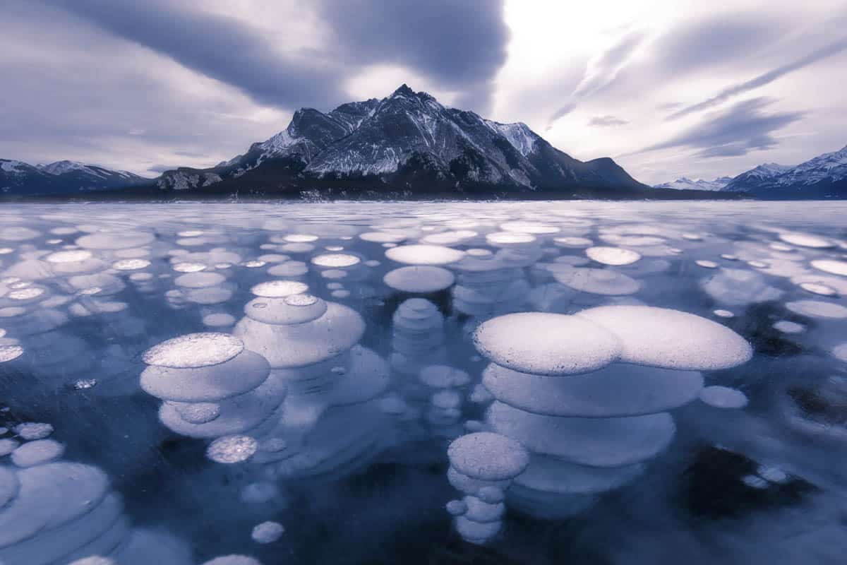 Abraham Lake Ice Bubbles