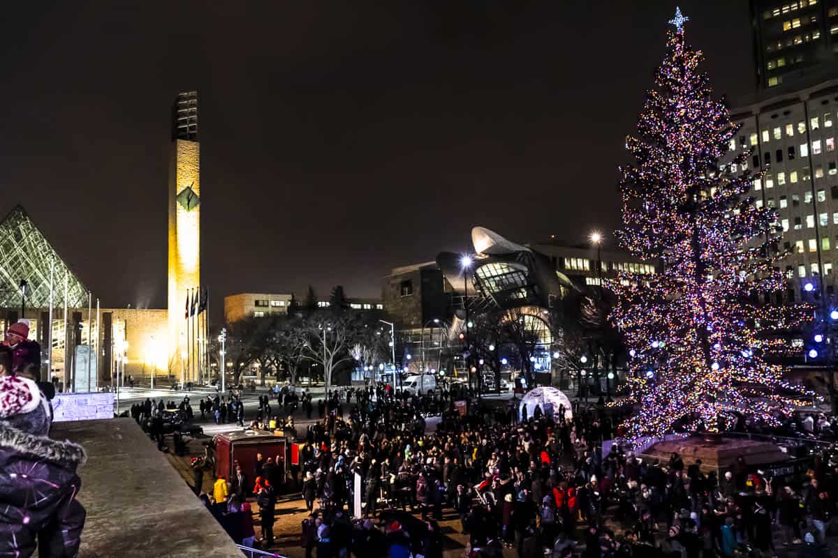 christmas field trips edmonton