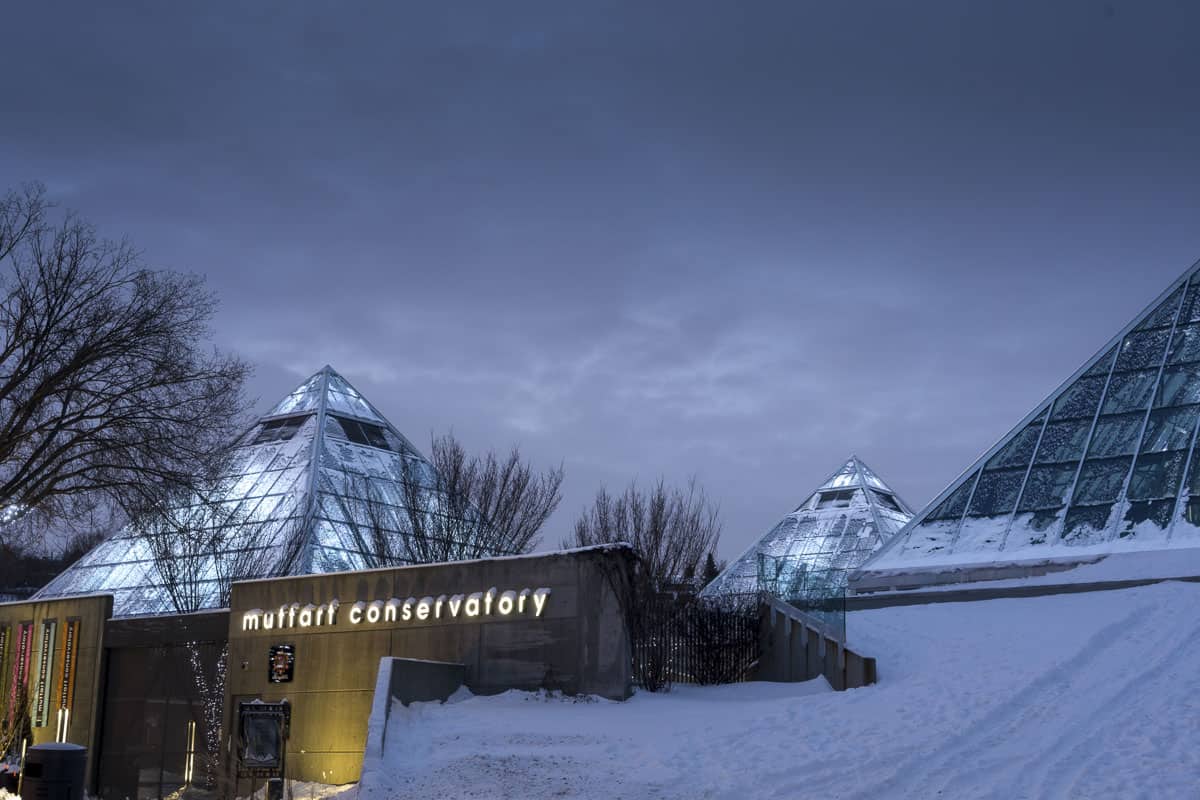 Muttart Conservatory in Winter