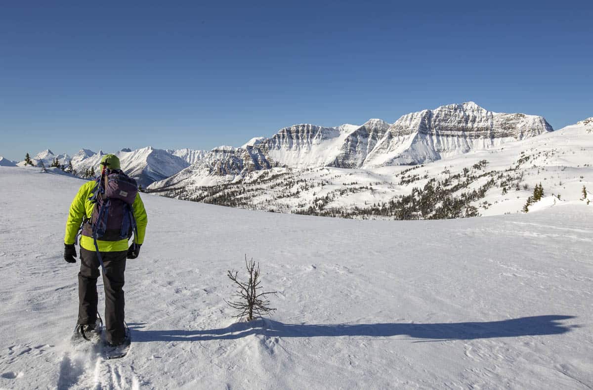 Snowshoeing Sunshine Meadows