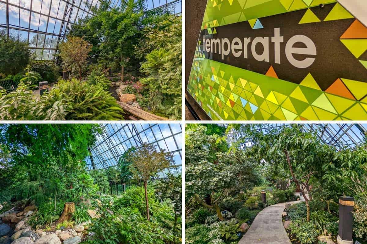 Inside the Muttart Conservatory Temperate Pyramid