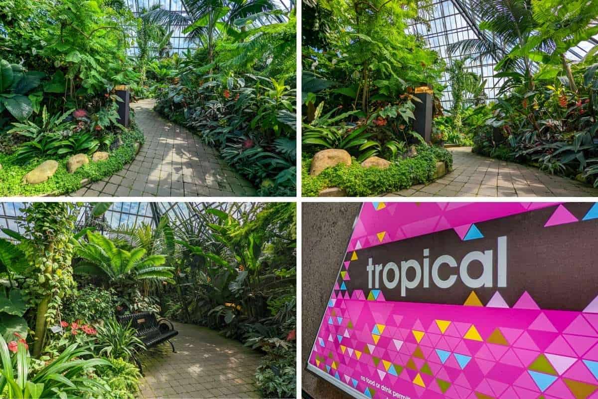 Inside the Muttart Conservatory Tropical Pyramid