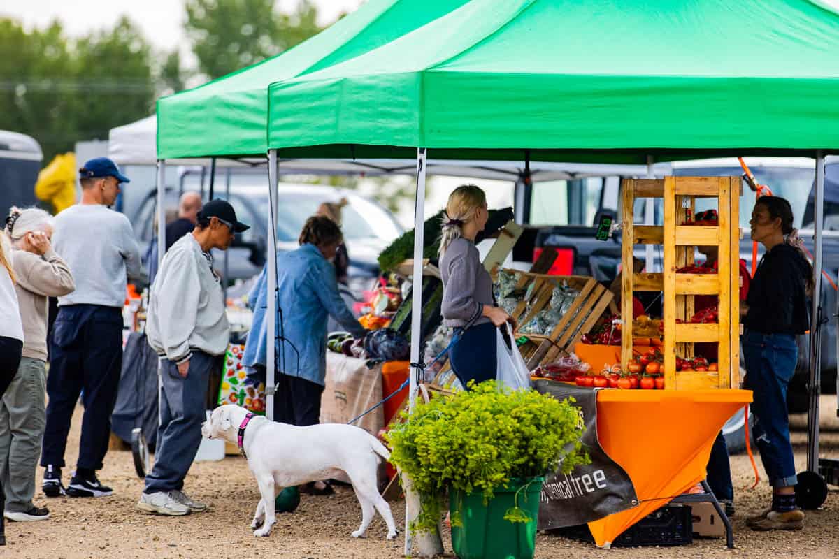 Wetaskiwin Farmers Market