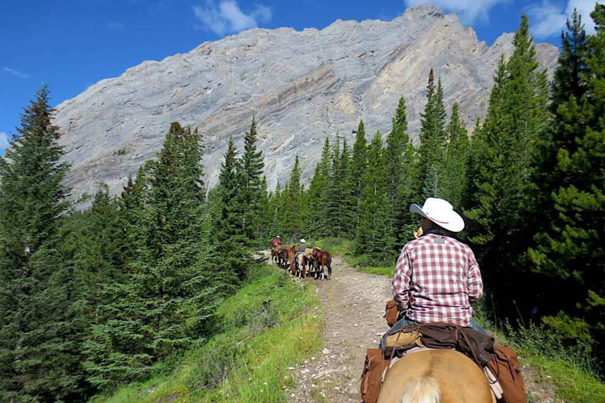 Banff Horse Riding Tour