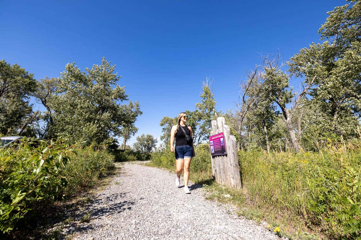 River Valley Wilderness Park