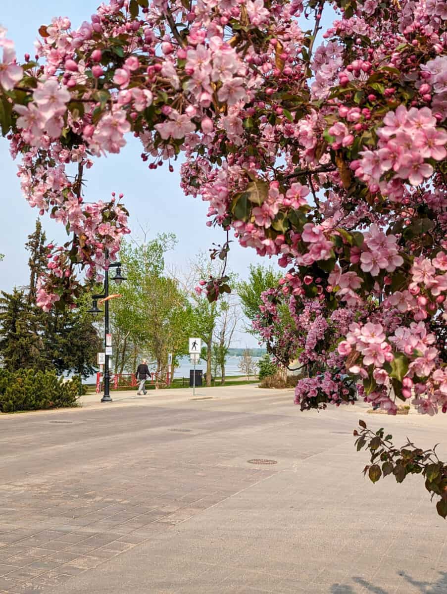 Sylvan Lake Main Street