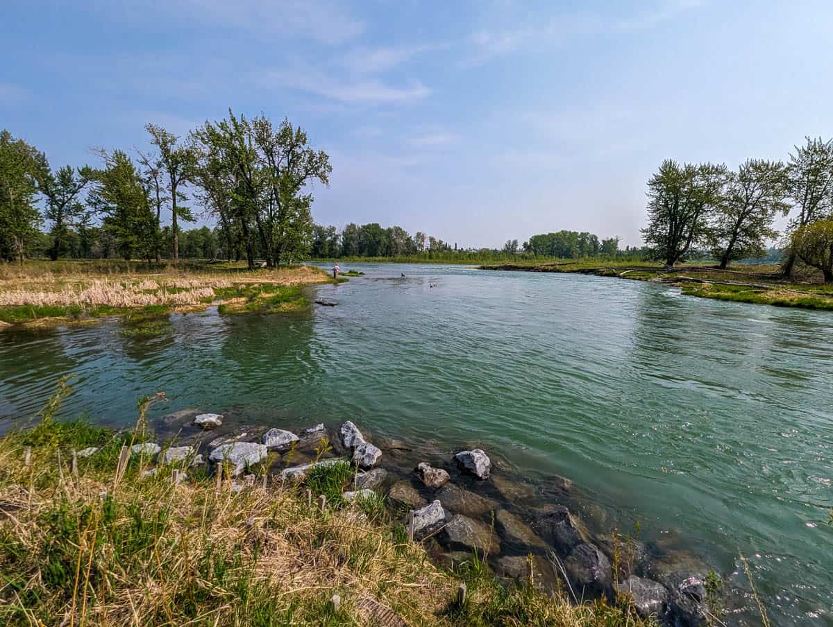 Mallard Point River