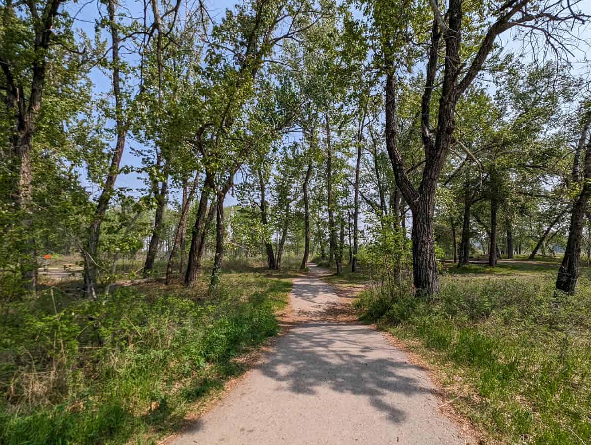 Paths in Fish Creek