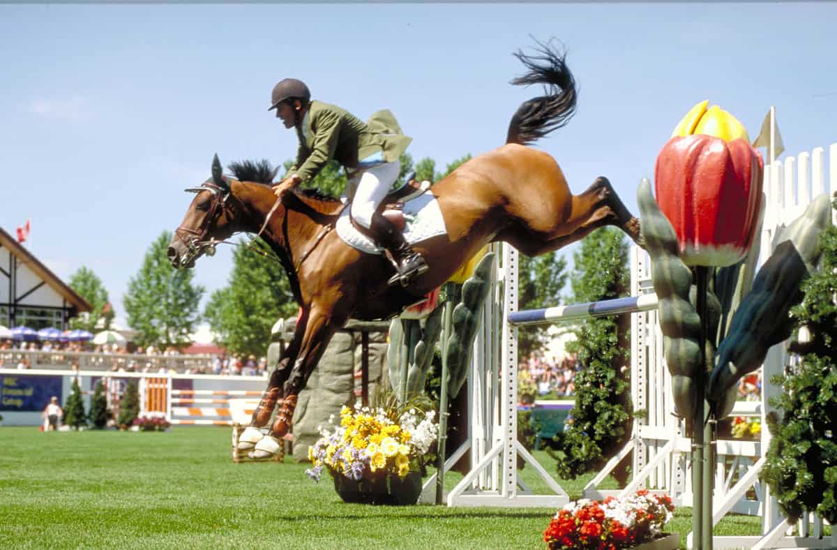 A horse show-jumping competition at Spruce Meadows