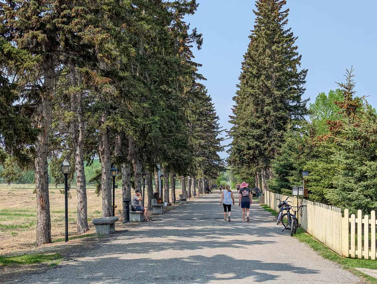 Biking Paths in Fish Creek