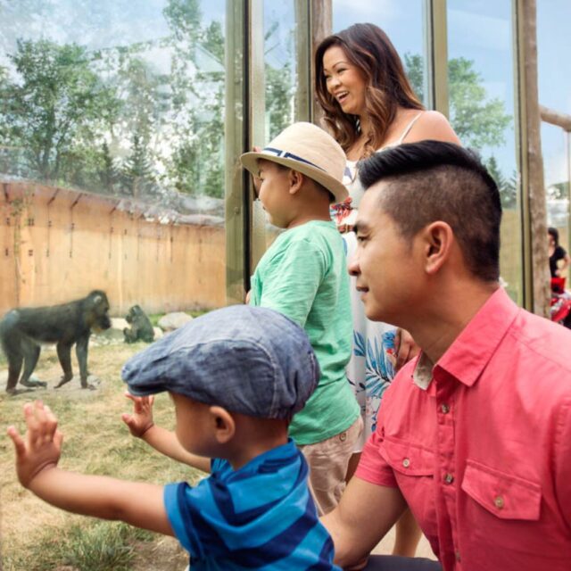 Family at calgary zoo