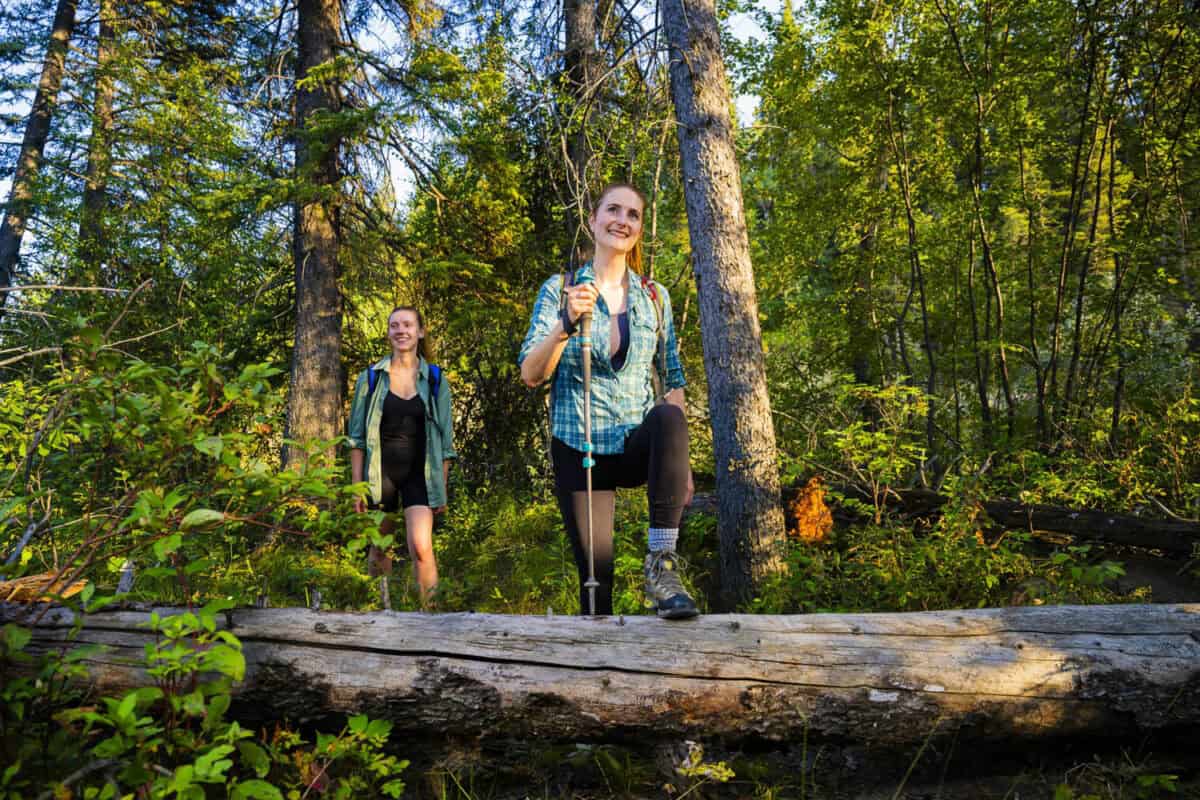 Hike in Fish Creek Provincial Park