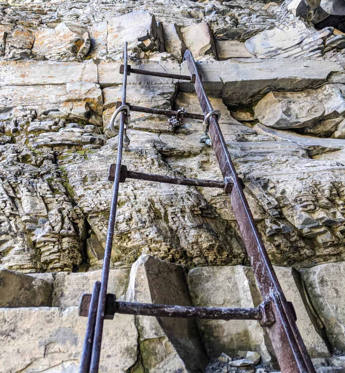 Ladder to the Tunnel