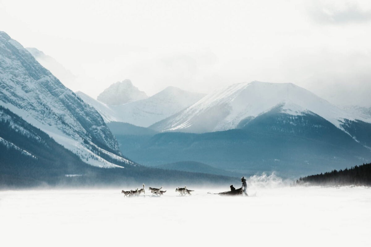 Canmore Dog Sledding Scenic