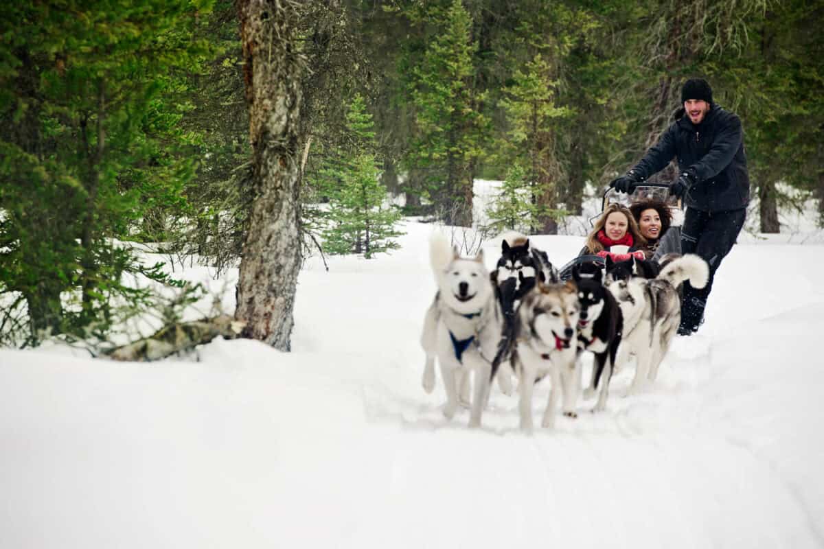 Dog Sledding Family Fun