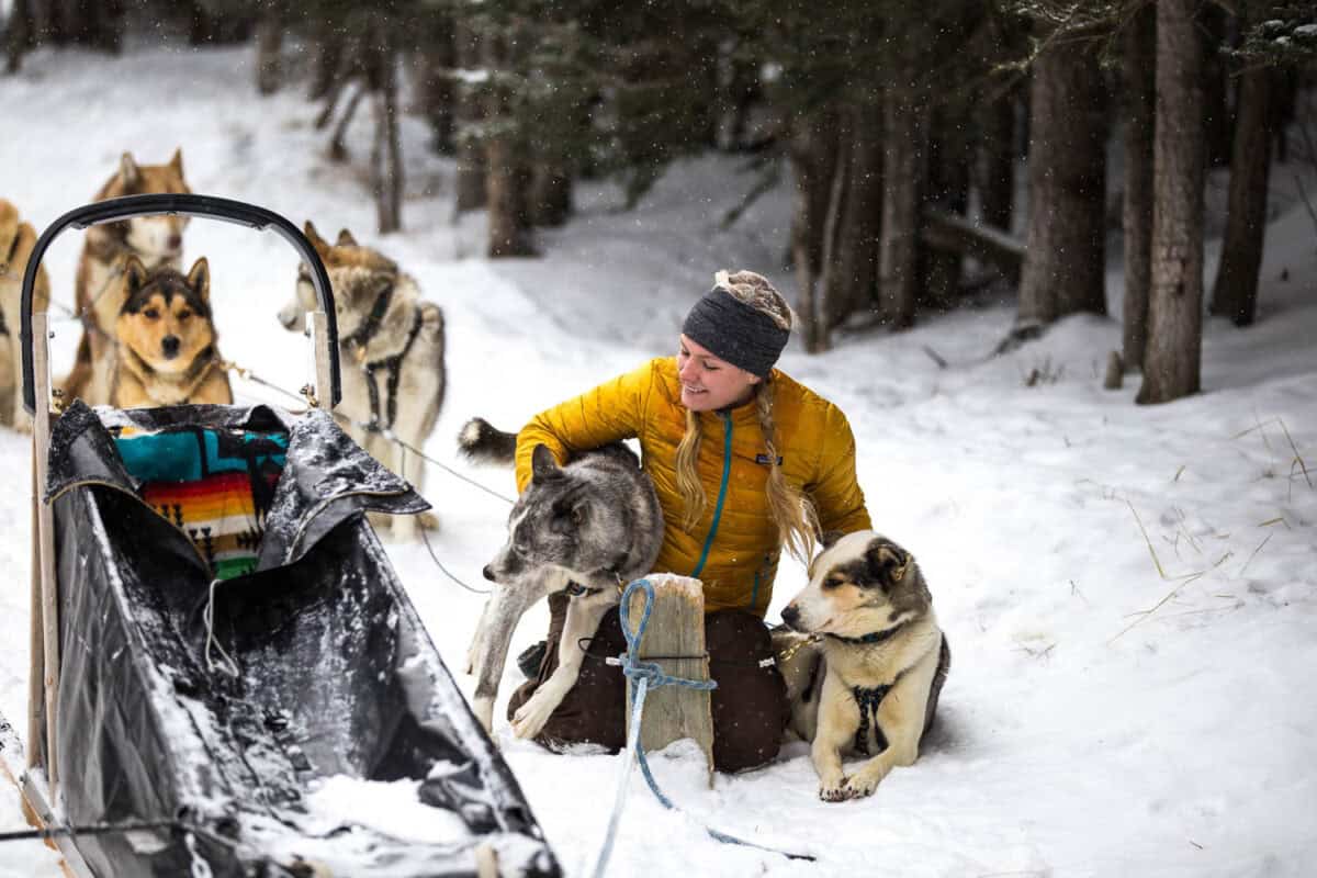 Dog sledding petting dogs