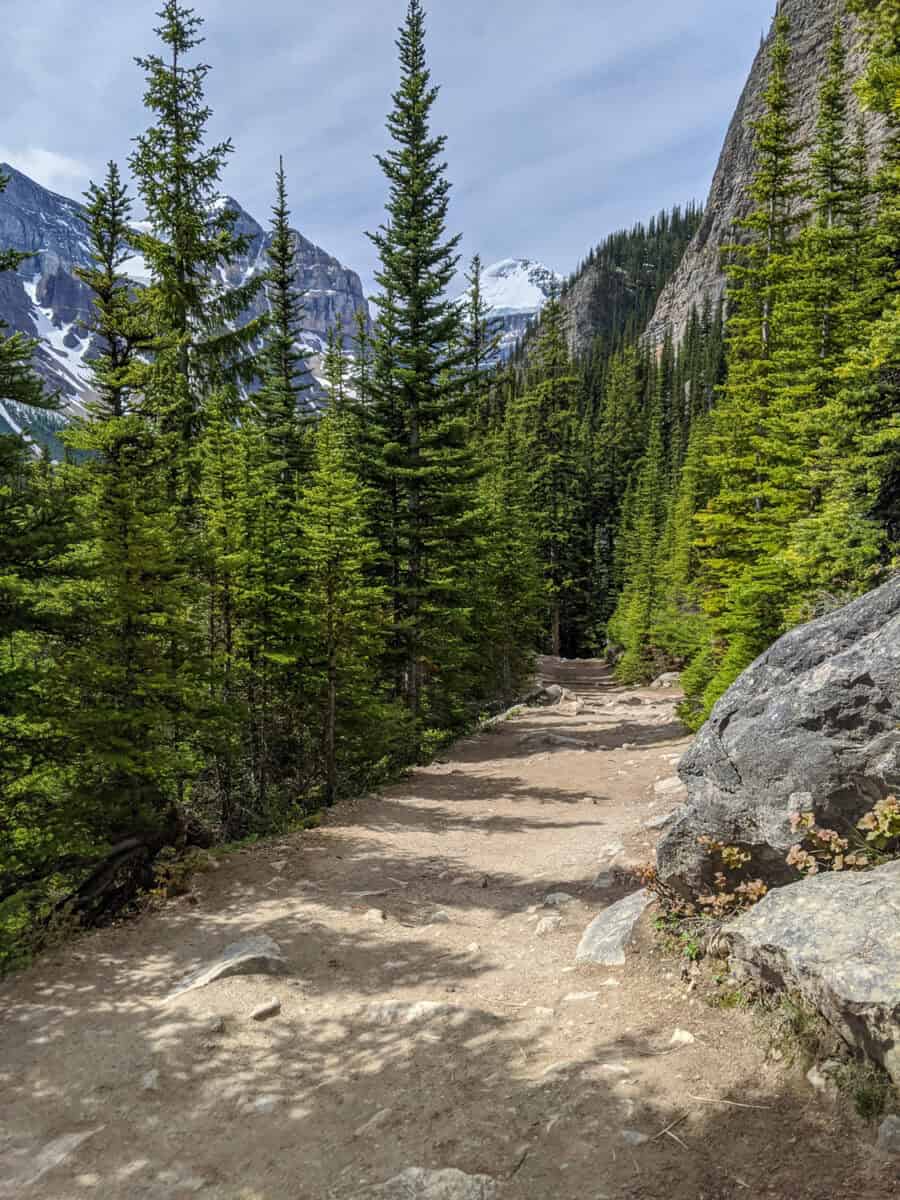 Lake Agnes Tea House Path