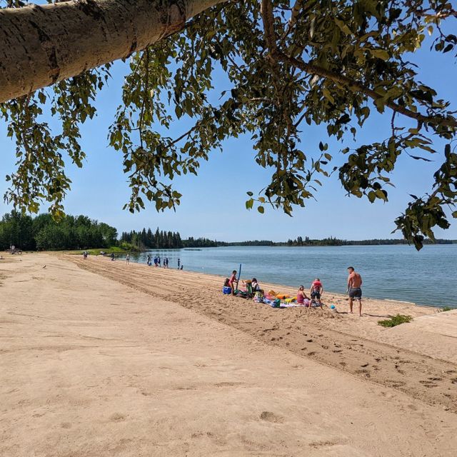Did you know that Elk Island National Park has this beautiful beach? 🤯 (Going to update our "best beaches in Alberta" blog post NOW!)

#RoadTripAlberta #ExploreAlberta #ElkIslandNationalPark #ExploreEdmonton #ExploreCanada #AlbertaBeaches #ElkIsland