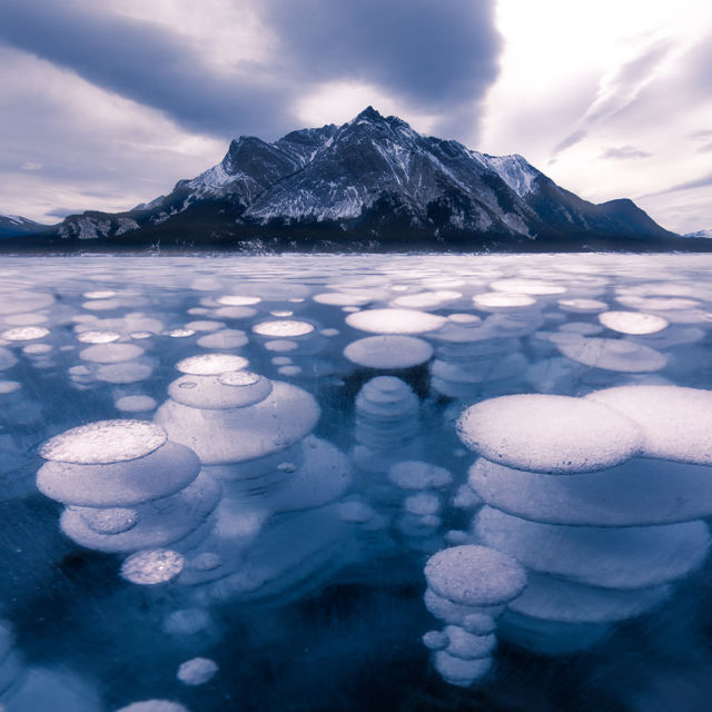 If you wait all year to see the frozen bubbles at Abraham Lake...wait no longer! Get your butt out there! 💙

#RoadTripAlberta