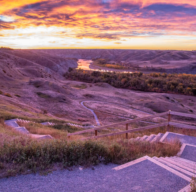 The mountains are amazing and all, but have you visited one of Alberta's 😍 coulees lately? 

#RoadTripAlberta #ExploreAlberta #YQL #ExploreLethbridge