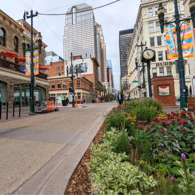 We see you lookin' sharp, Calgary! 😍

#RoadTripAlberta #CaptureCalgary #ExploreAlberta #YYCLiving #CalgaryAlberta #DowntownCalgary